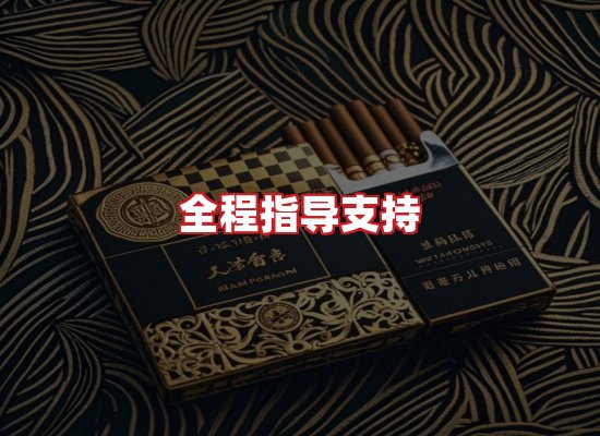 专业团队